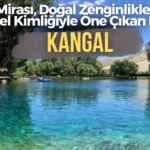 Haber Manşet düzenle (1)