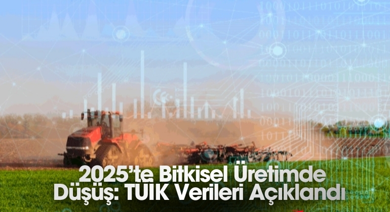 2025’te Bitkisel Üretimde Düşüş: TÜİK Verileri Açıklandı