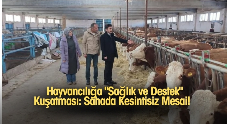  Hayvancılığa “Sağlık ve Destek” Kuşatması: Sahada Kesintisiz Mesai!