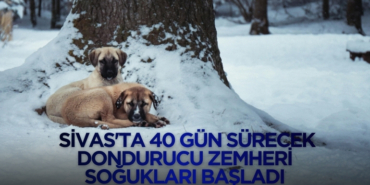 770X420 Haber Manşet şablonu (70)