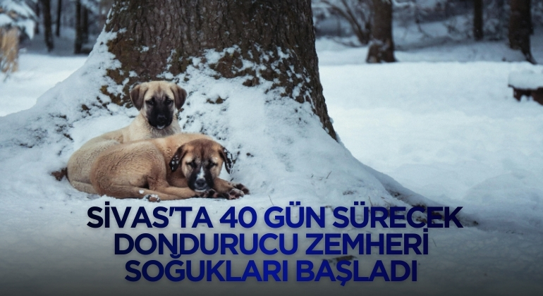 Sivas’ta 40 Gün Sürecek Dondurucu Zemheri Soğukları Başladı