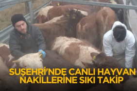 770X420 Haber Manşet şablonu (79)