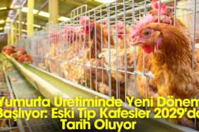 770X420 Haber Manşet şablonu (29)