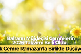 770X420 Haber Manşet şablonu770 x 420 piksel) (69)