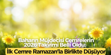 770X420 Haber Manşet şablonu770 x 420 piksel) (69)